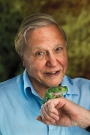 David Attenborough Film ve Dizileri