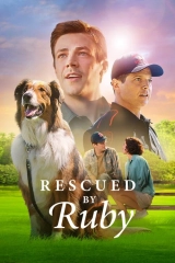 Kurtarma Köpeği Ruby
