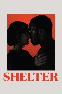Shelter - Barınak