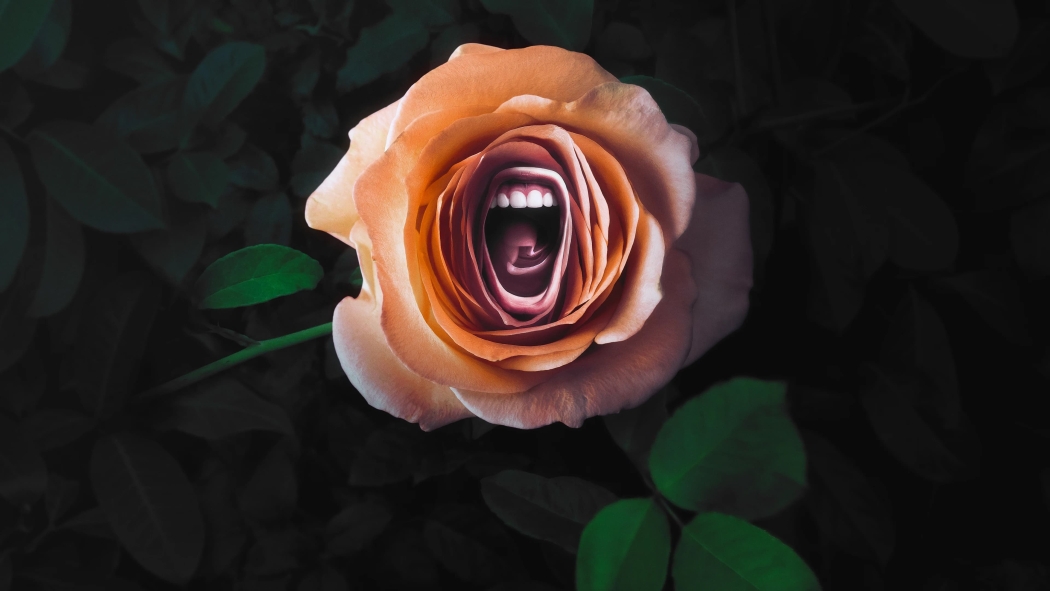 Roar 1. Sezon 1. Bölüm izle
